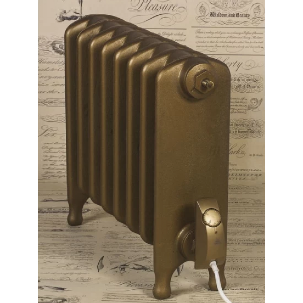 Electric Cast Iron Radiator Conversion Kit (Factory Fitted)