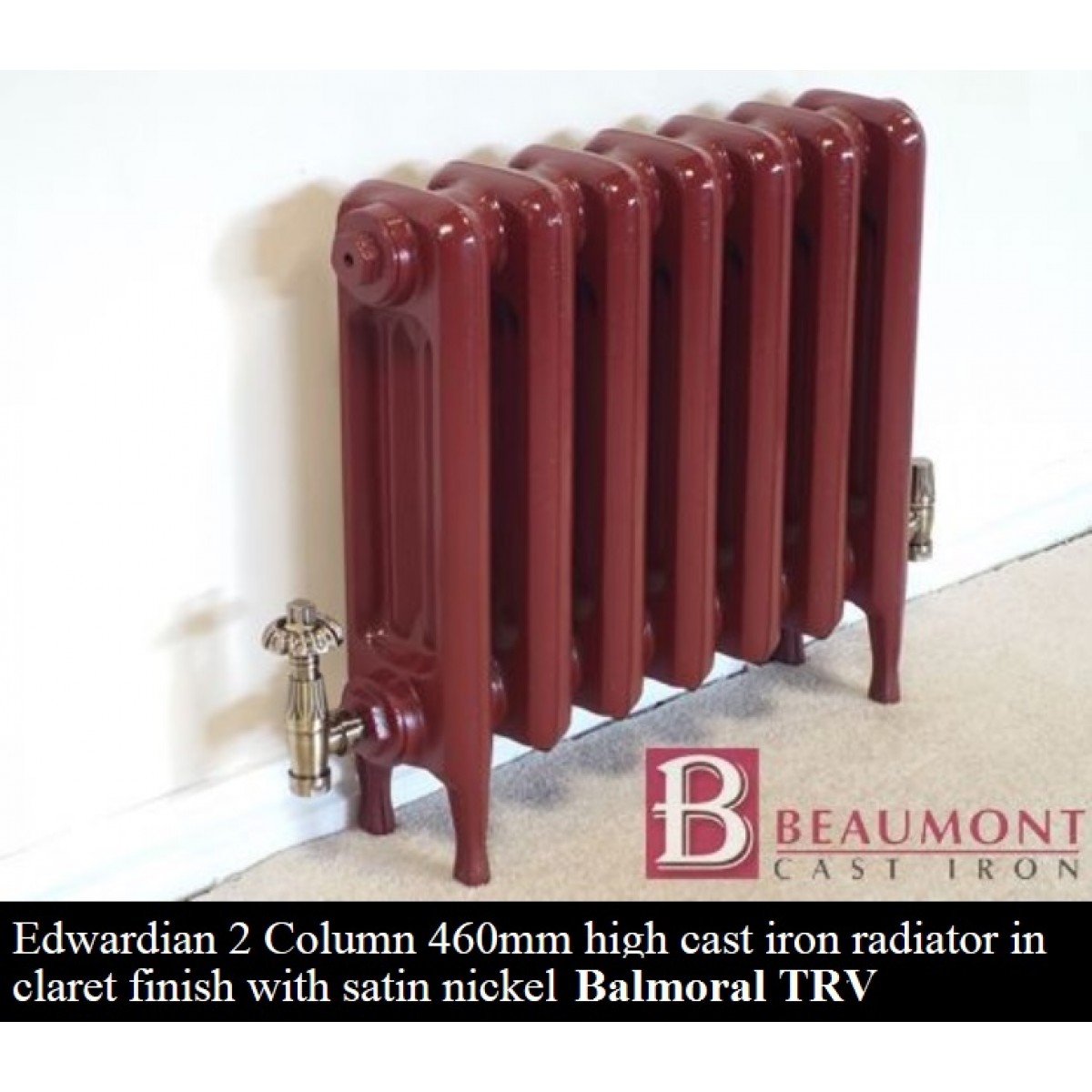 Edwardian 2 Cast Iron Radiator 450 High - 3 Section