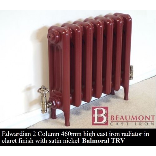Edwardian 2 Cast Iron Radiator 450 High - 11 Section - The Edwardian 2