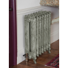 Dragonfly 790 Two-Column Cast Iron Radiator, 3 Sections, 790x 289mm
