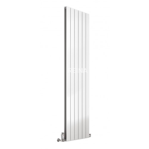 Flat Vertical Single 1600 x 218 - The Flat