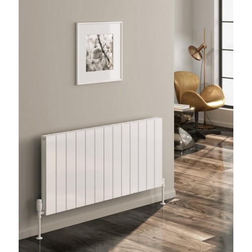  Casina Horizontal Double, 600 x 660 - Aluminium Radiators