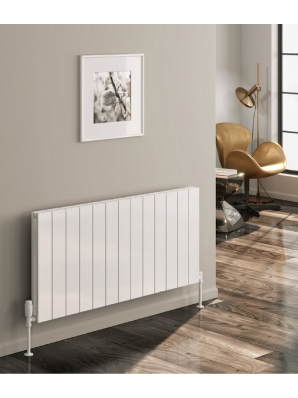 Reina Casina Horizontal Aluminium Double Column Radiator, 600H x 1420mm