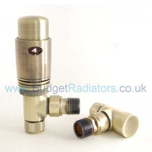 Modern Thermostatic Radiator Valves radiators