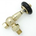 Amberley TRV, Angled - Polished Brass Amberley TRV, Angled - Polished Brass