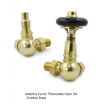 Amberley TRV, Corner - Polished Brass