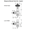 Belgravia Angled Manual Valve Set - Un-Lacquered Brass