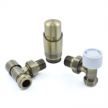 Delta Angled TRV - Antique Brass