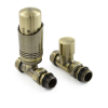 Delta Straight TRV - Antique Brass